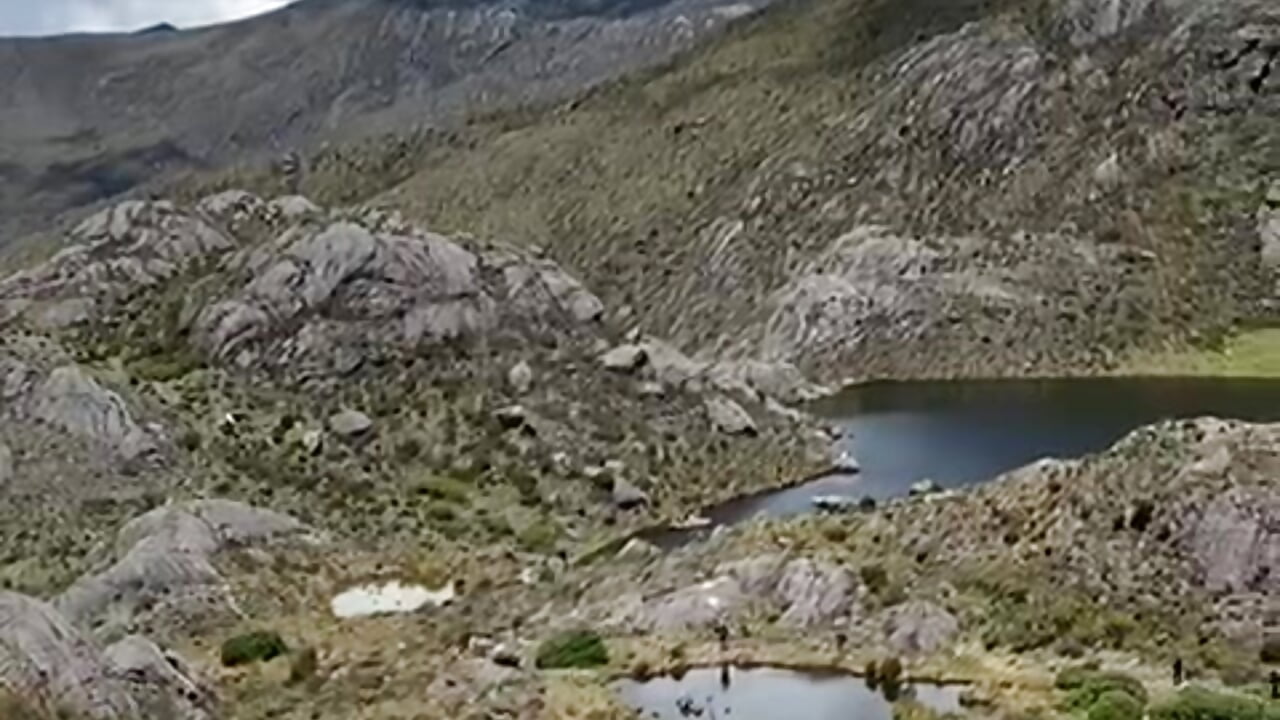 mood🌿 – video od webkamerové modelky trixiebrow1