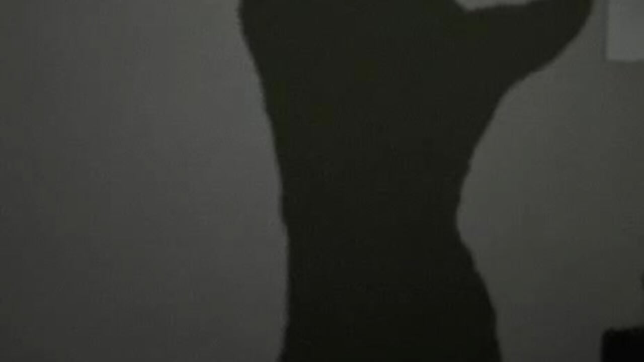 Aesthetics - Video von DizzyRina Cam-Model