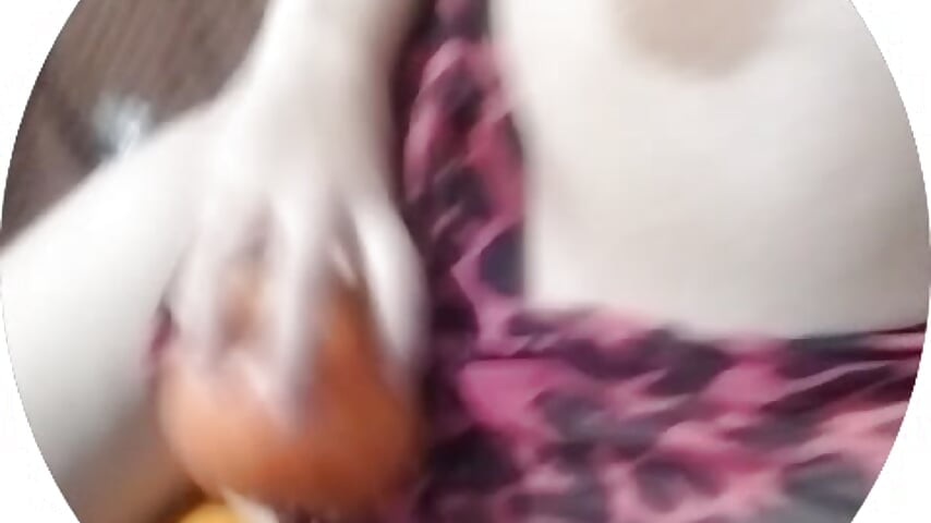 Яблоко－カメラキャストのSweety_Cheekssの動画