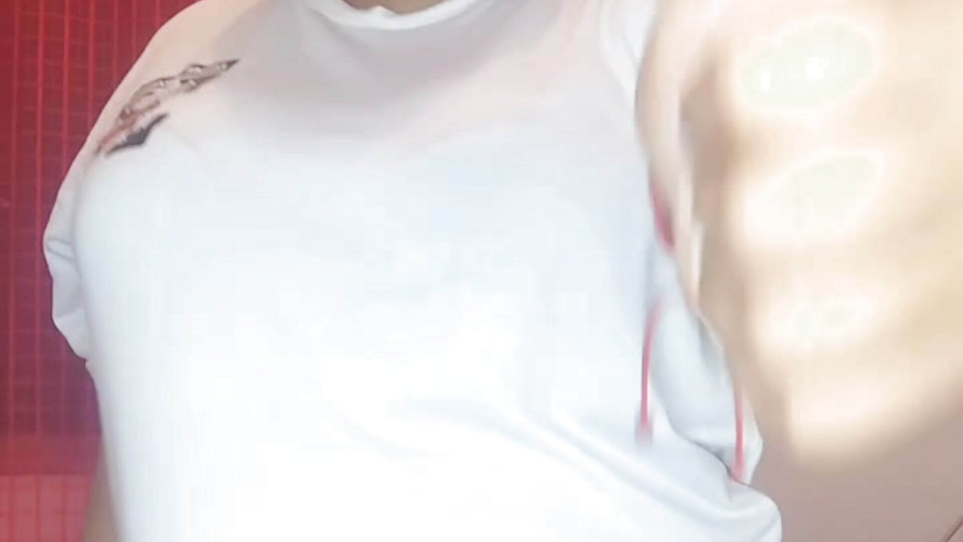 2026-02-19-184900324 - vídeo de Lunacora modelo de câmara