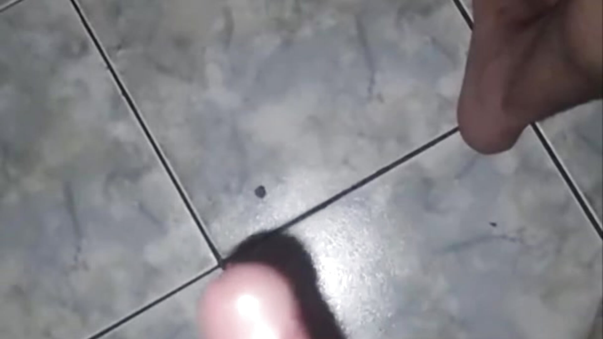 8501 - copy 5 Apr 08:04 - відео від вебкаммоделі joyboyAct