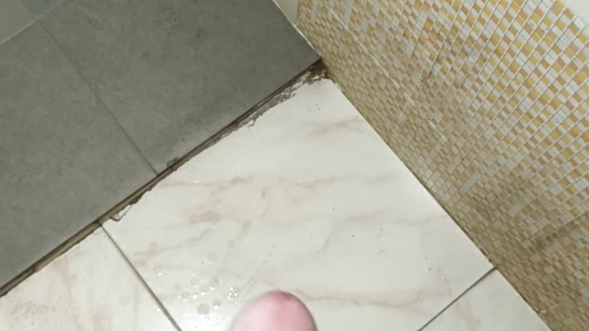 1000016119 - freakingcock27 캠 모델의 동영상