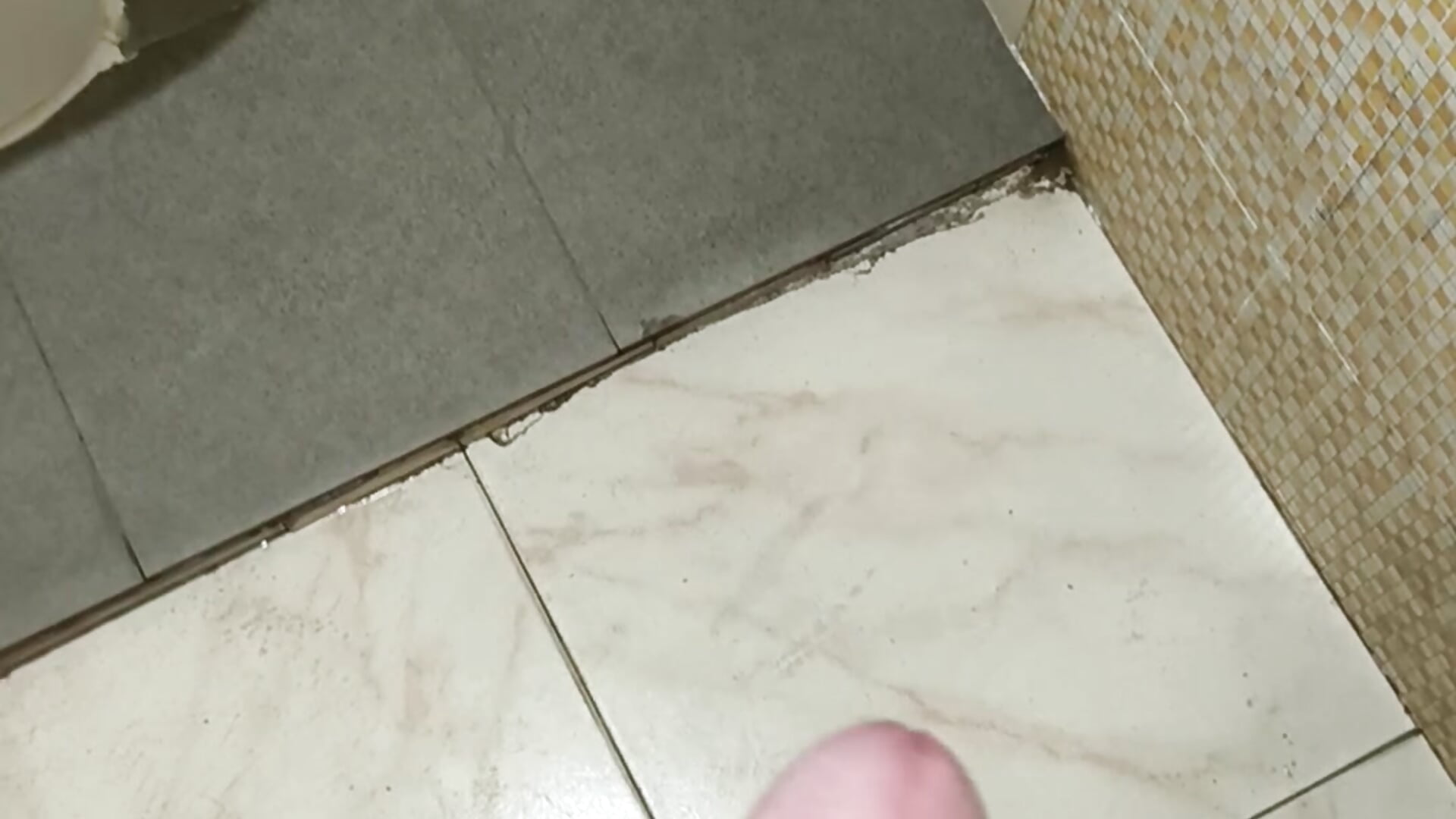 1000016118 - freakingcock27 캠 모델의 동영상