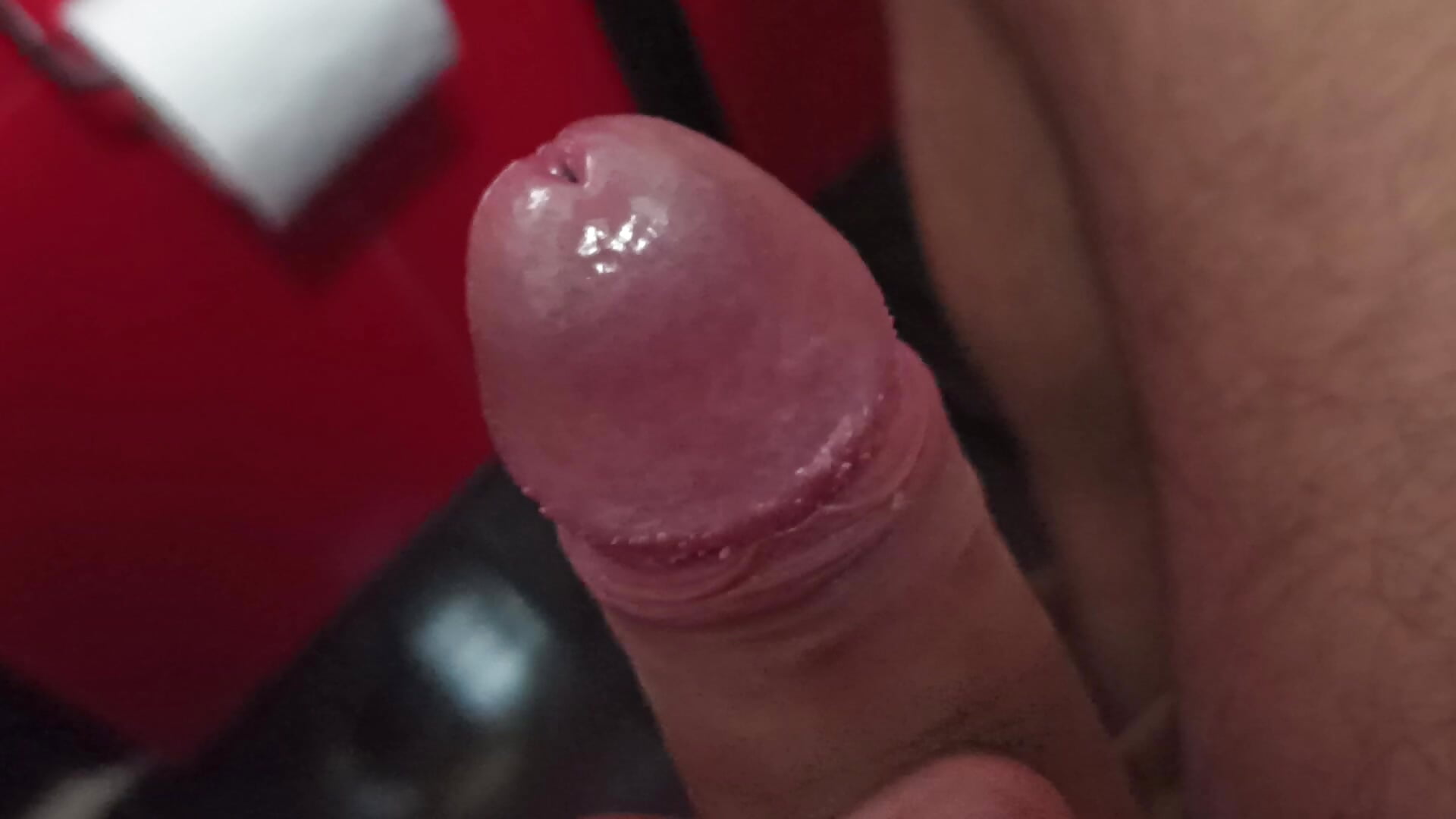 VID_20260228_093919 - video by juan23479