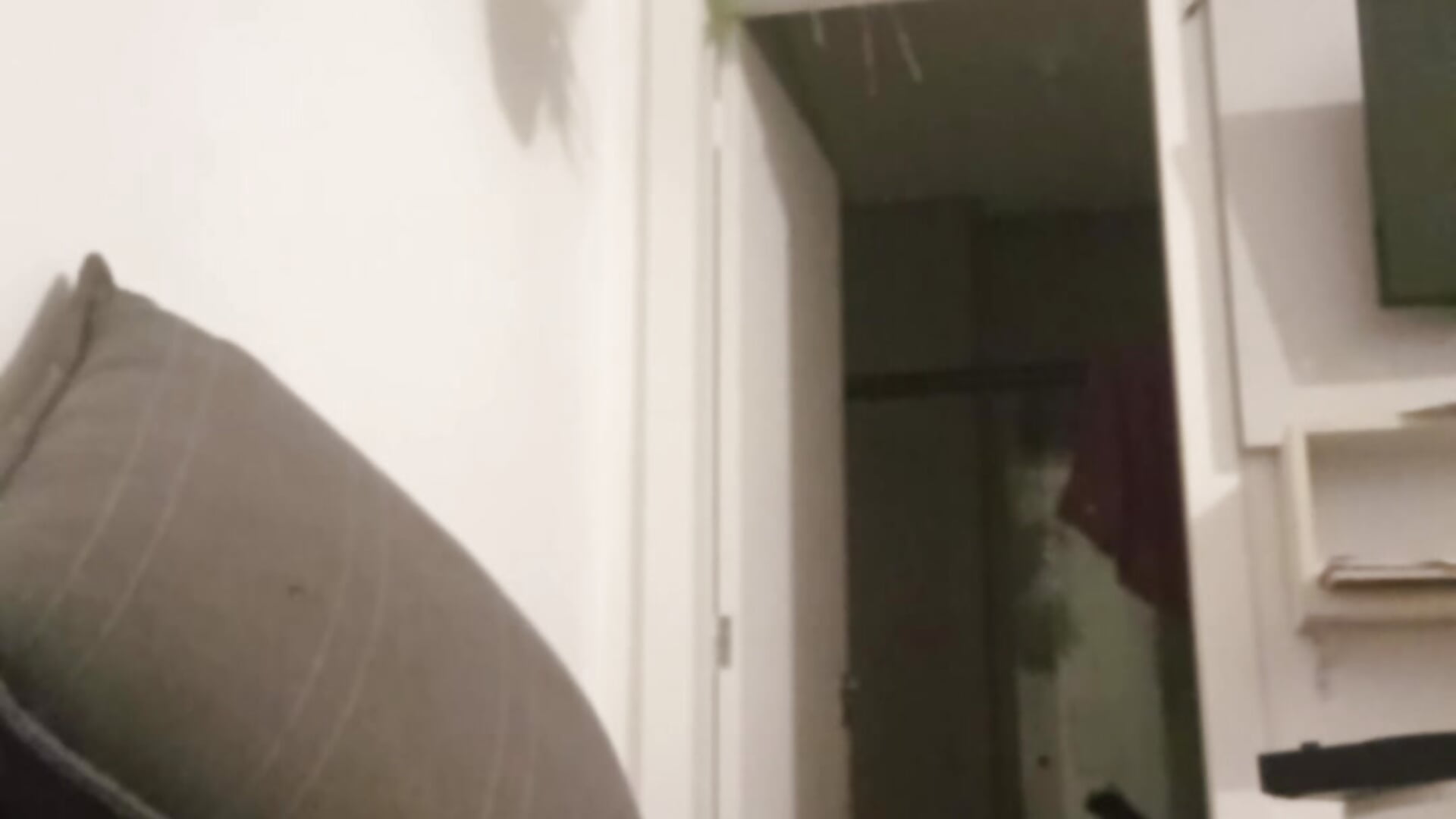 🥒💧 – видео вебкам-модели herberts3