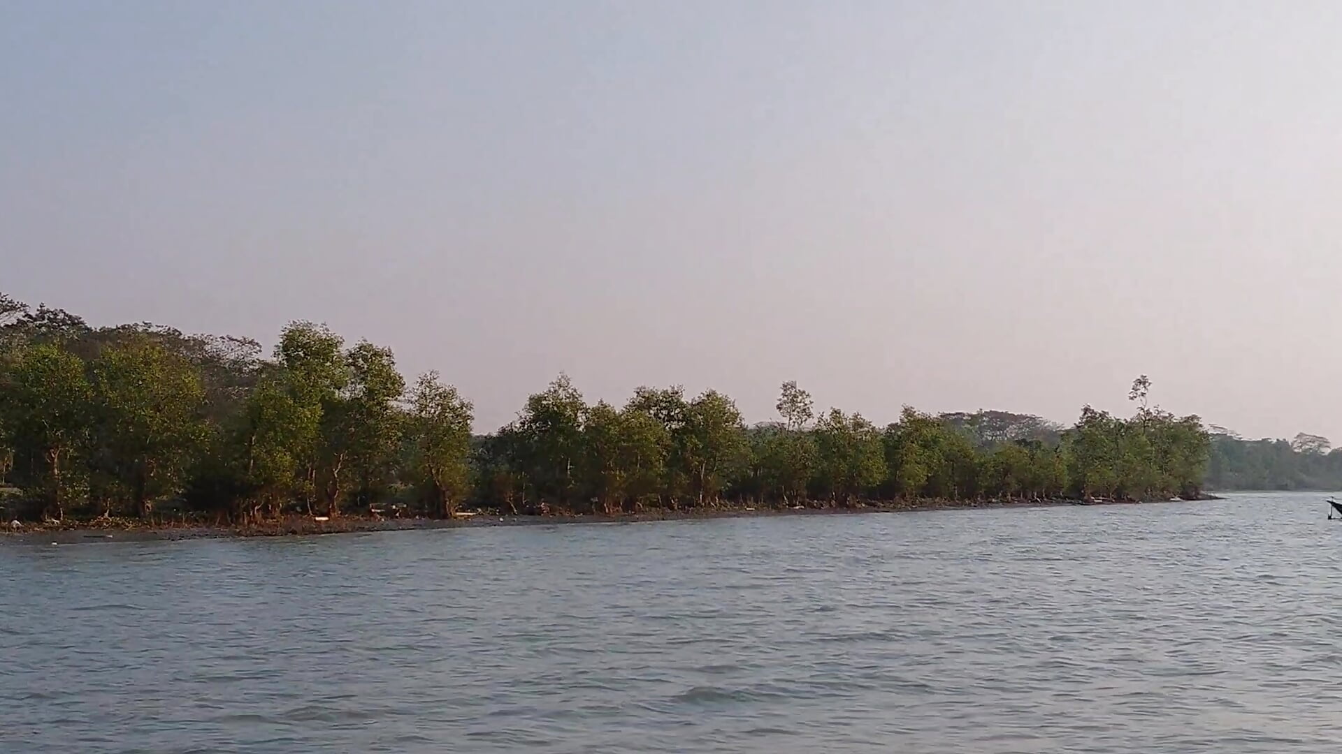 1000014285 - video by skynct2007 cam model