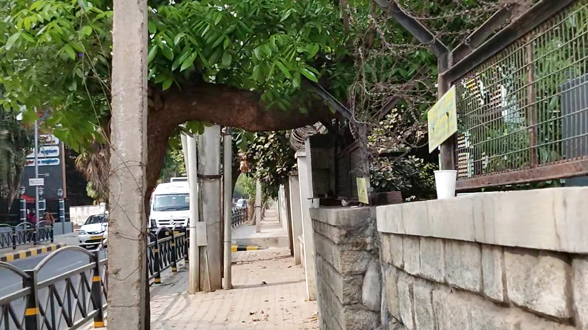 54694 - vidéo du modèle de showcams Romyo611