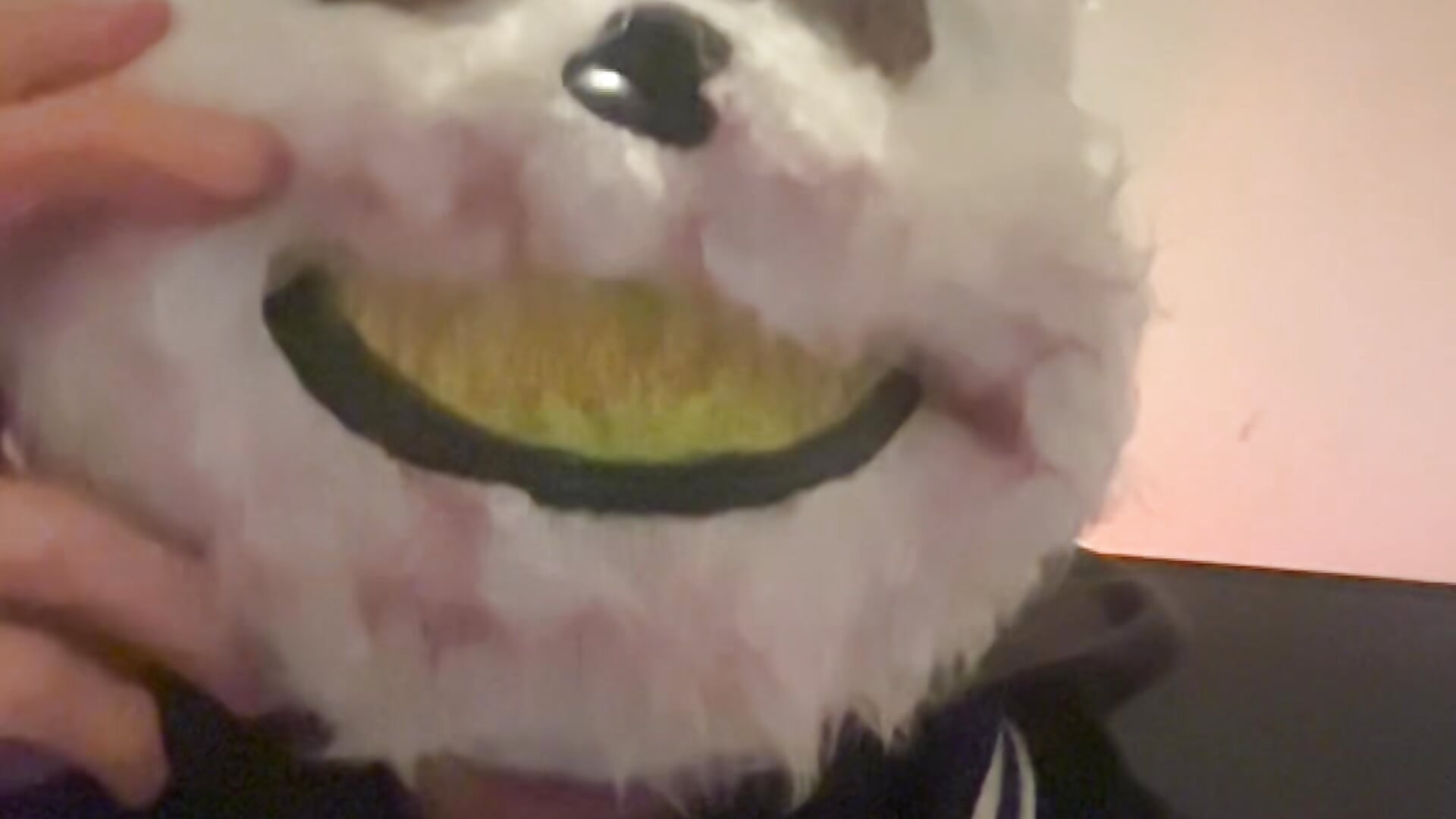 Puff for the Poof - video av Rosebroz cam model