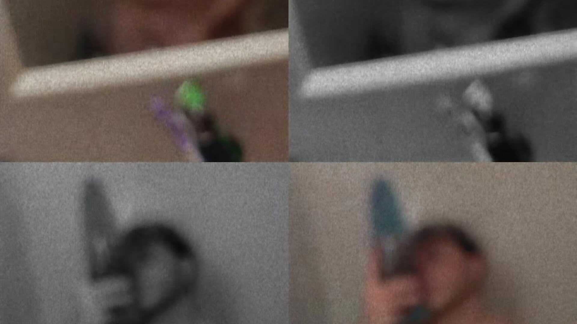 1000120383 – video af WatchingForMe