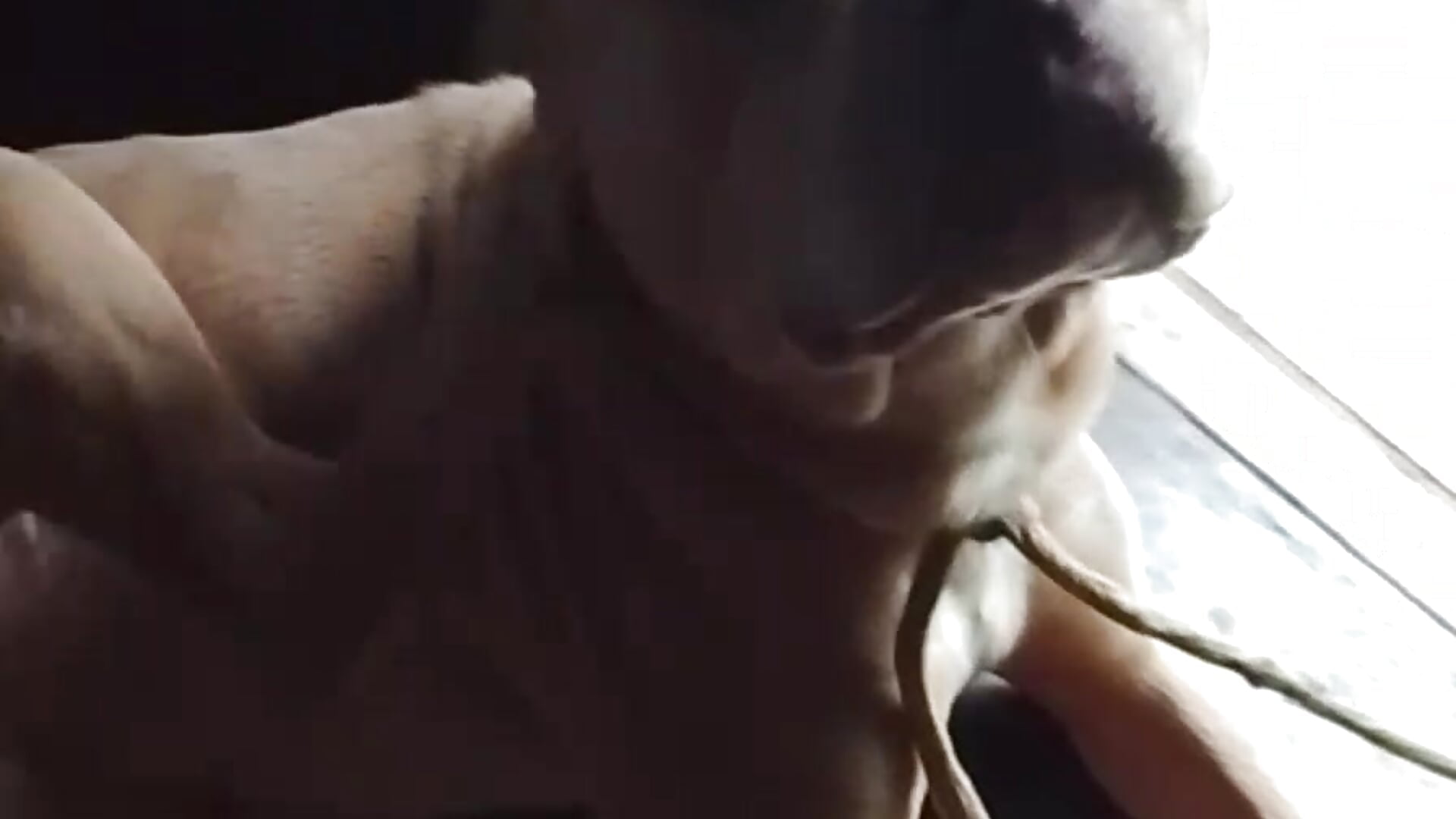 66570 - video by negrodalampadamagica