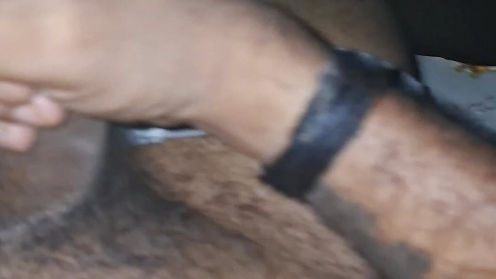 20260225_220412 - video by nispat