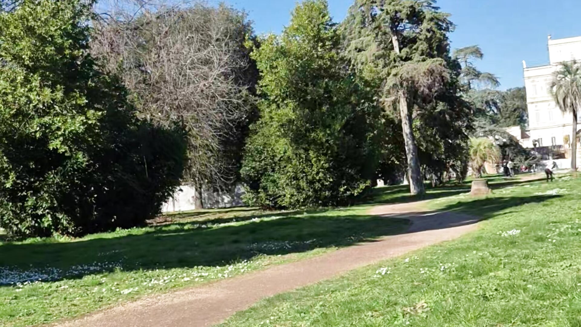 10896 - 6Alice9 캠 모델의 동영상