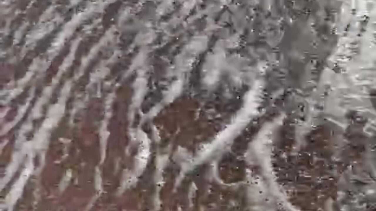 -4993934864748148368 - video by Your_Emilyy cam model