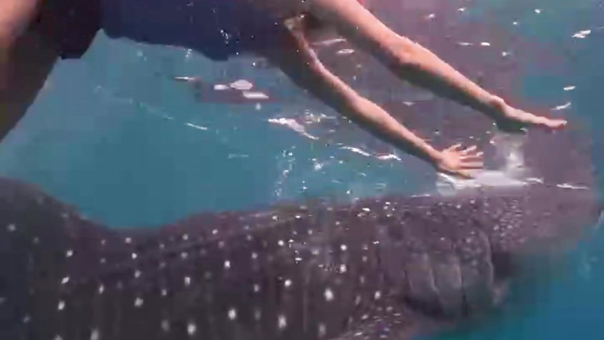 t_liskhVyn7TEczZciDU_O_R7xqkiwMIQgBslAddA7o - video by taro0410 cam model