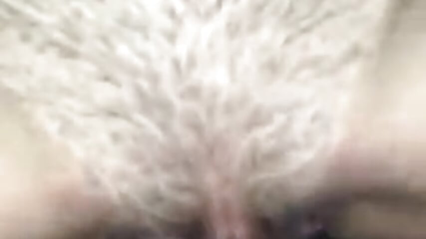 IMG_6472 - video van Trivera23 cam-model