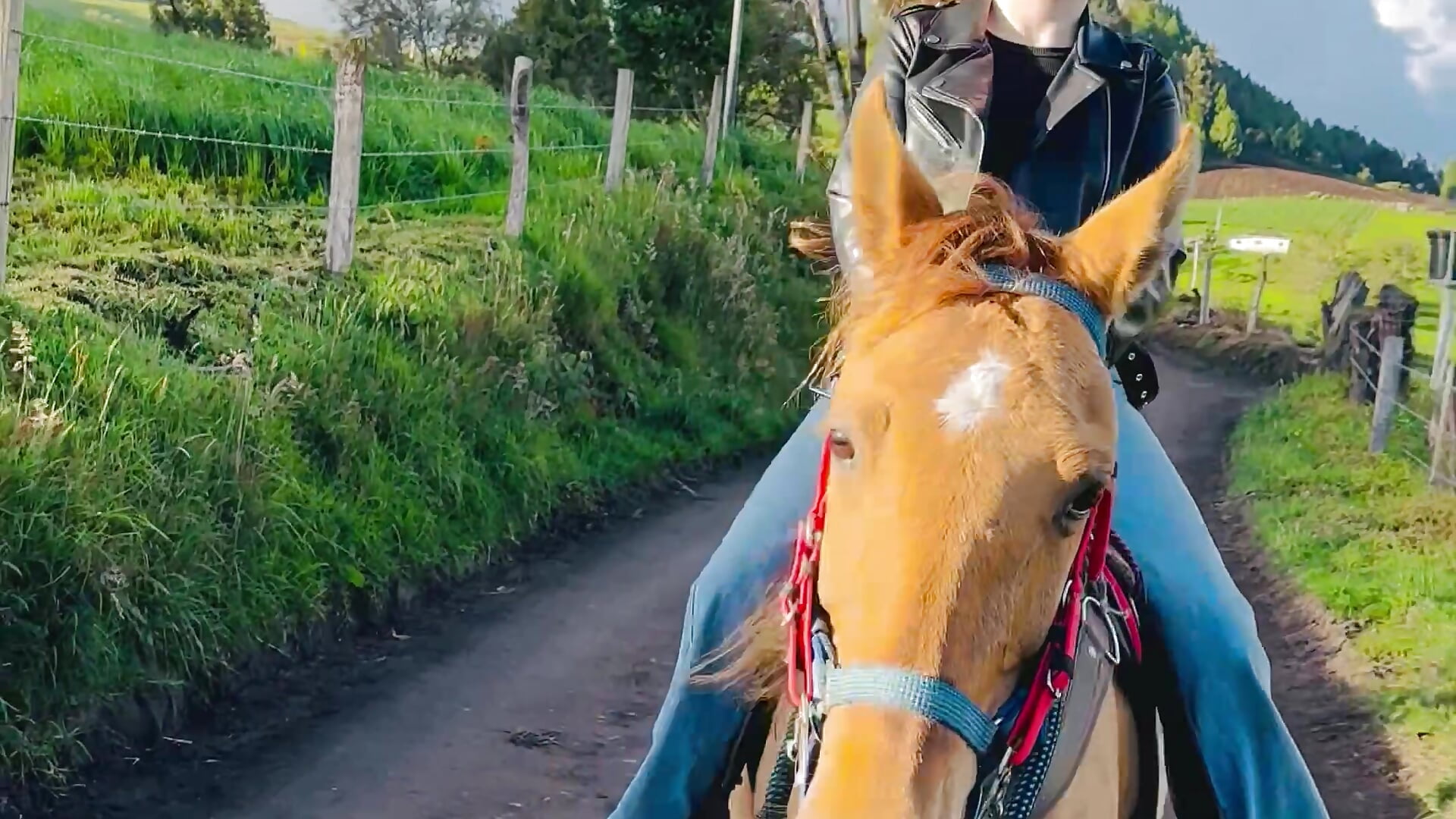 I love horses 😍🐎🌿 - video di ambaar__1 modella di cam