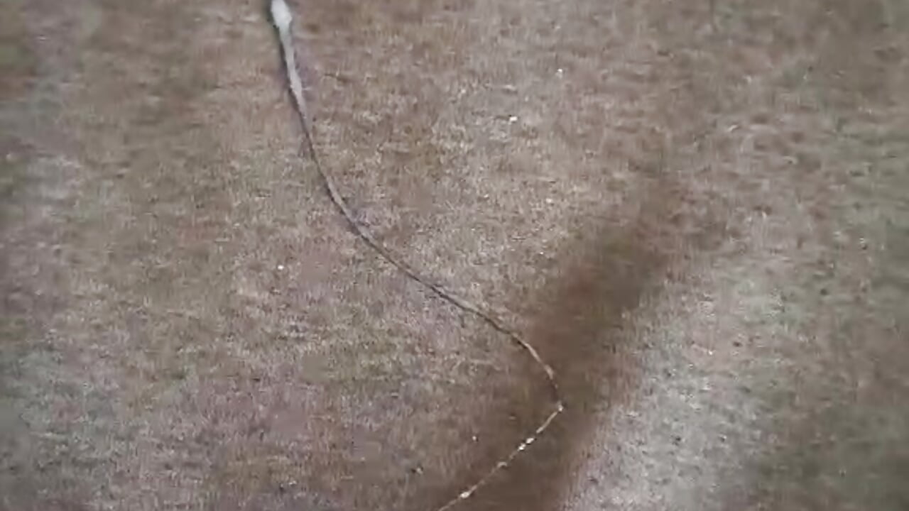 Sokarek - Δημοφιλές βίντεο μοντέλου με κάμερα 1159