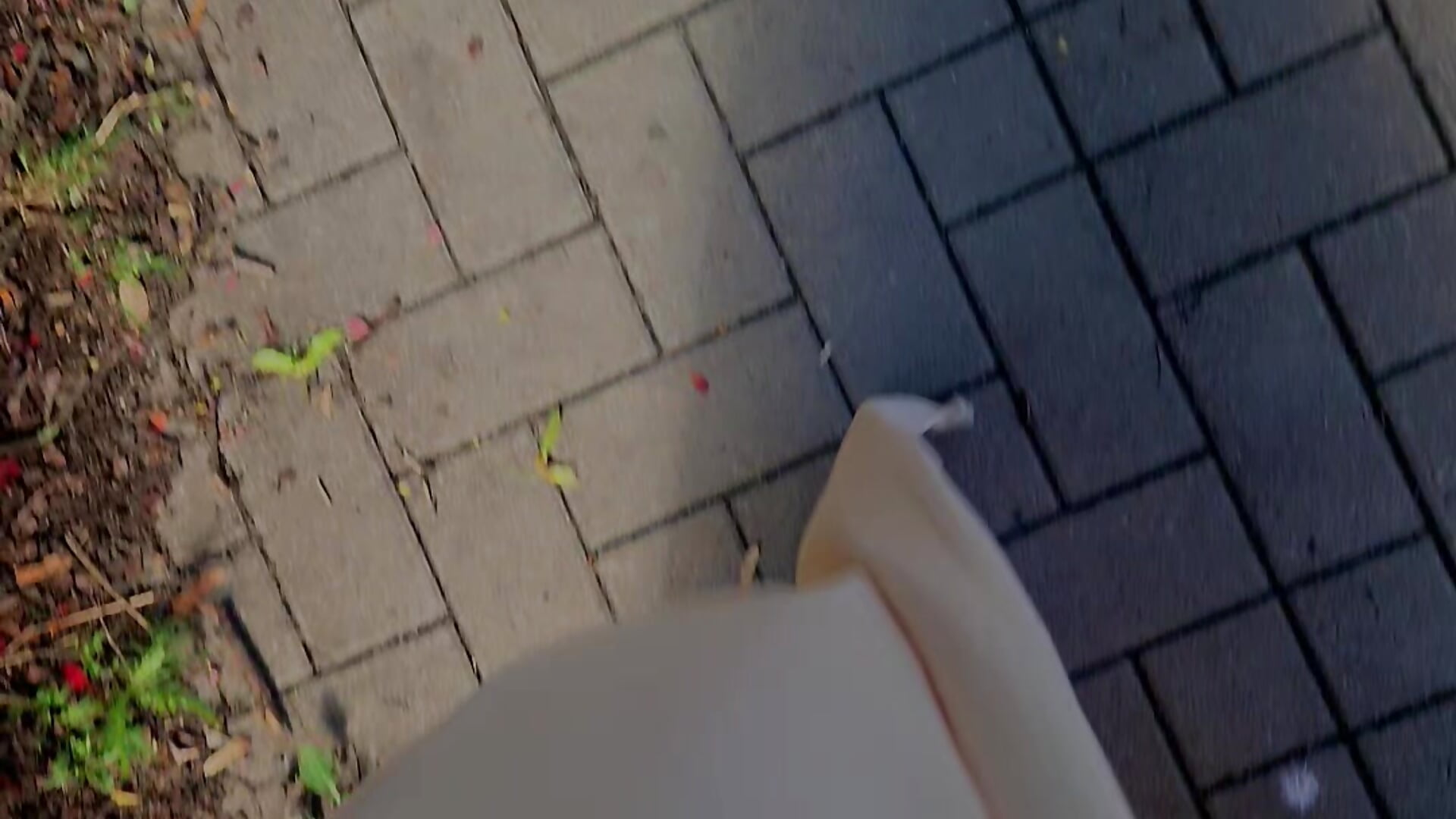 🔹🖤 Ladylike 🖤🔹 - video by Melissa-Schneider