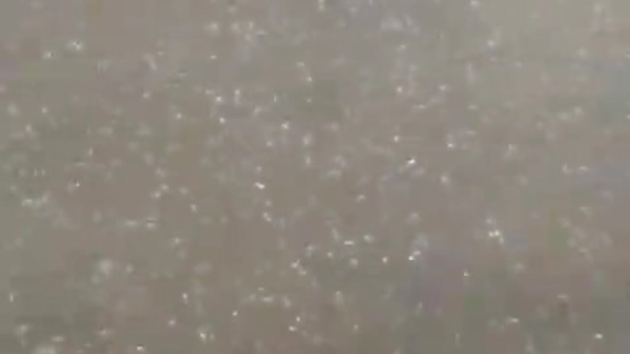 1000084861 - clip cu bhavisexy model videochat