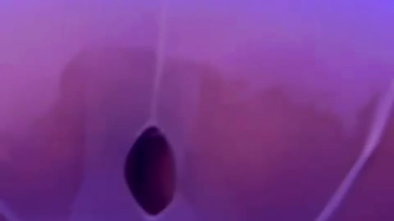 Hot at Jacuzzi - ক্যাম মডেল sam_damn-এর ভিডিও