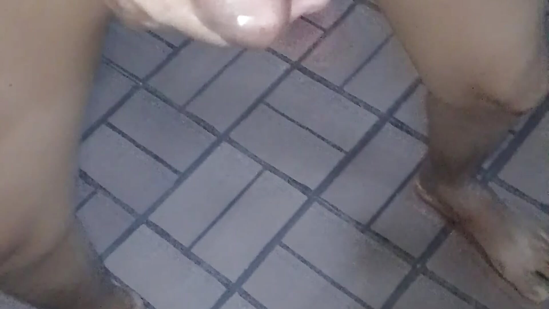 Un poco de leche - ক্যাম মডেল 1clemens-এর ভিডিও