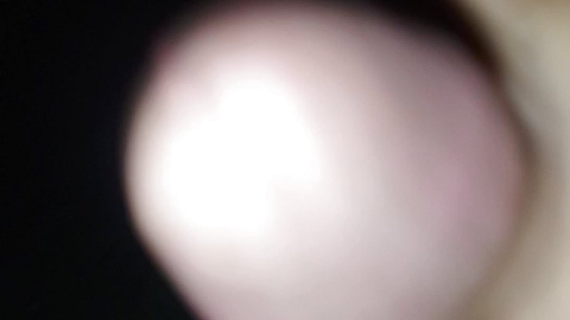 VID_20260320_214515 - βίντεο μοντέλου BodilyCodfish