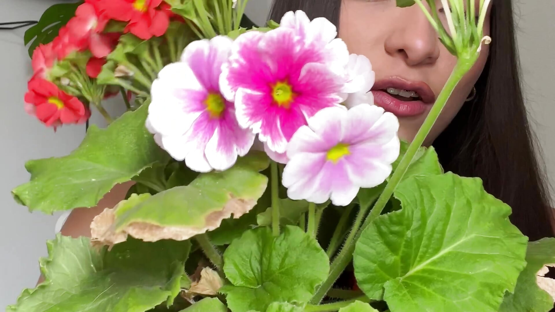 I'm going to show you my favorite plants🤭🪴 - video av Caandace cam model