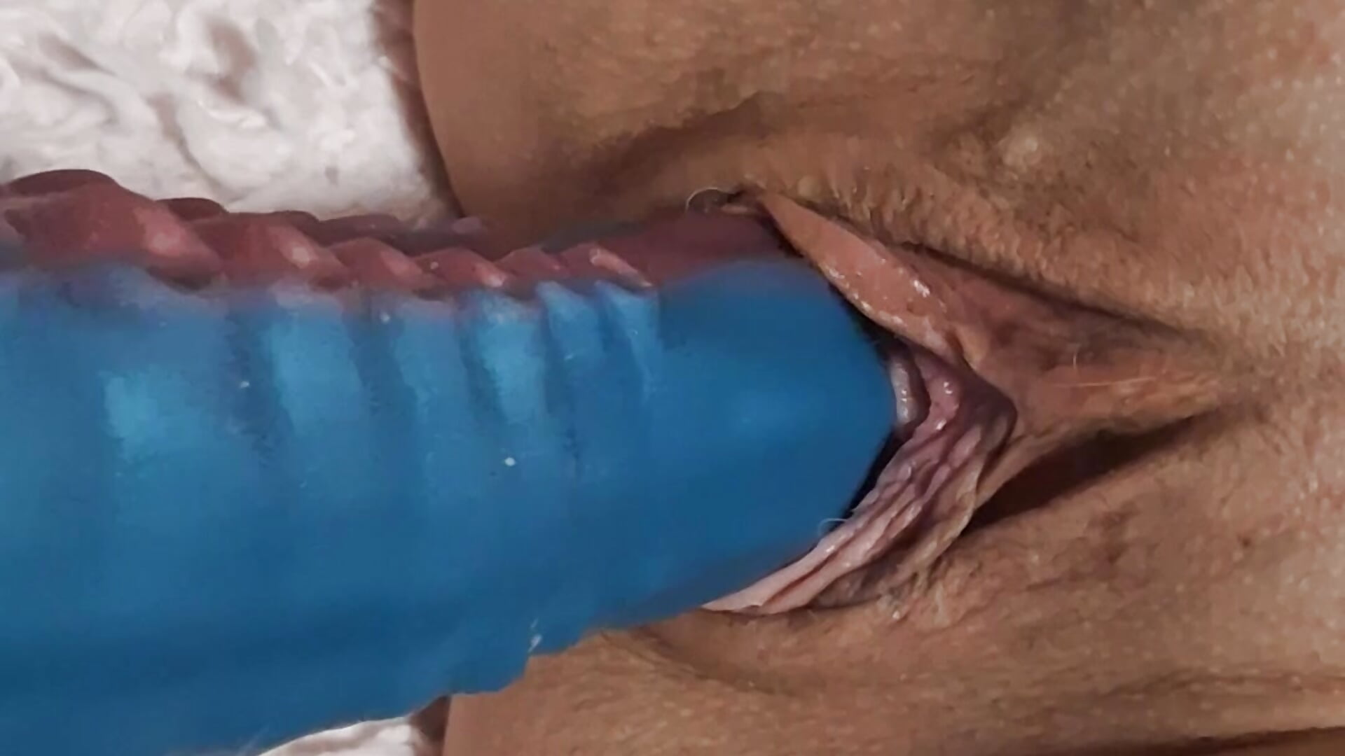 Aperçu Tentacule - video by Micinka