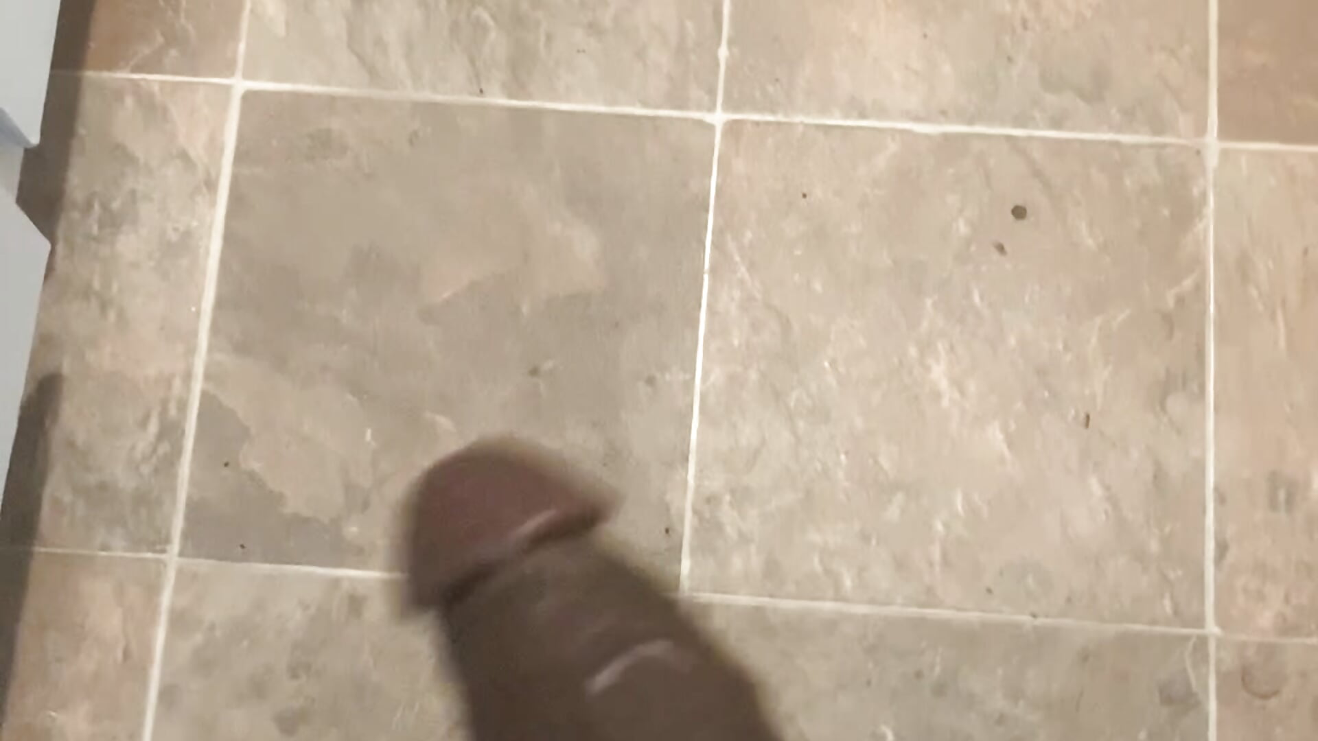 IMG_1798 - video by MidwestMandingo9