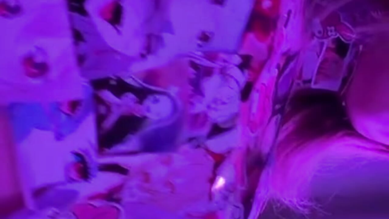 💗 - video của người mẫu cam Beloved_Mary