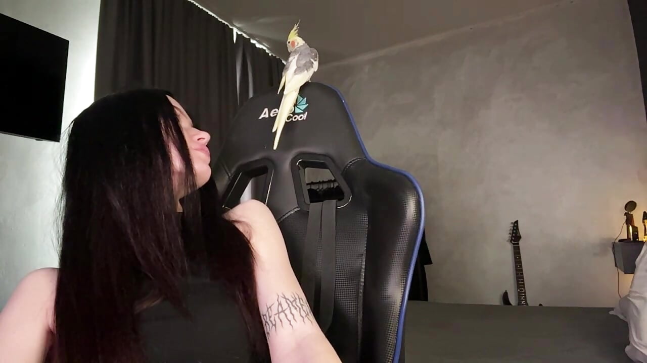 my parrot – video af MoranaNoir cam-model