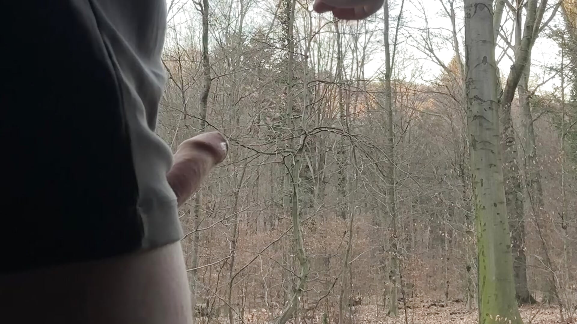 Quick public fap in forest - video Tiny_Sparrow kameramallilta