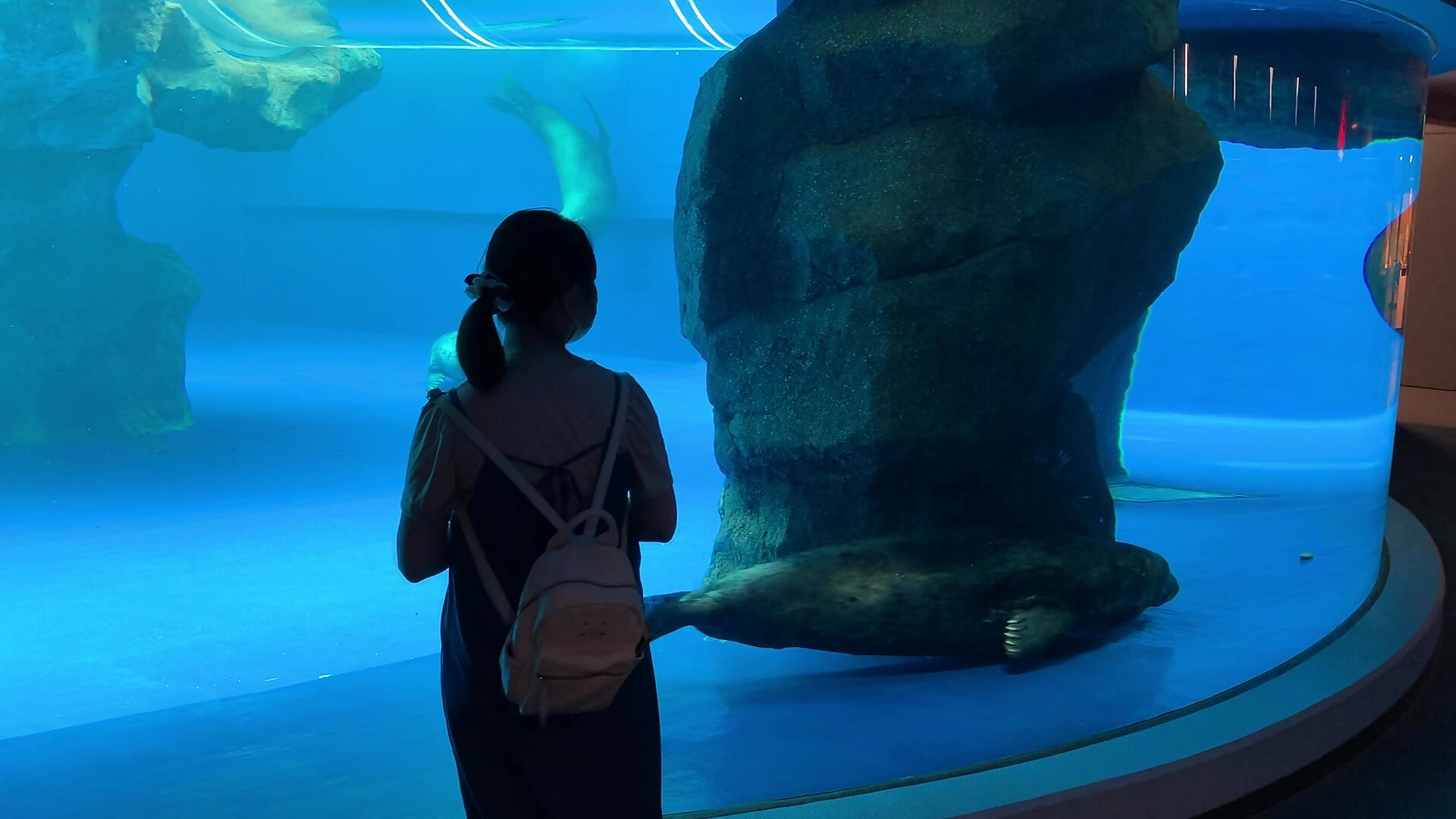 😎さんと水族館🦭#最後のス - vidéo du modèle de showcams Pretty_kayo