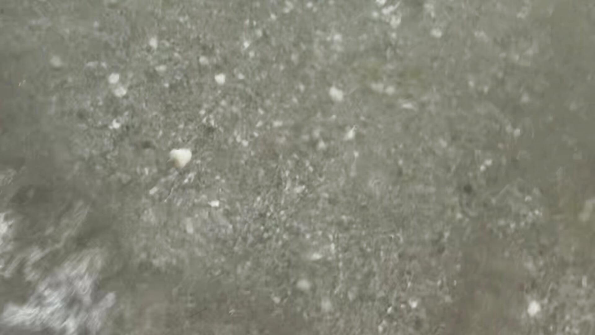 My feet in the sea - video của người mẫu cam LoraTempt