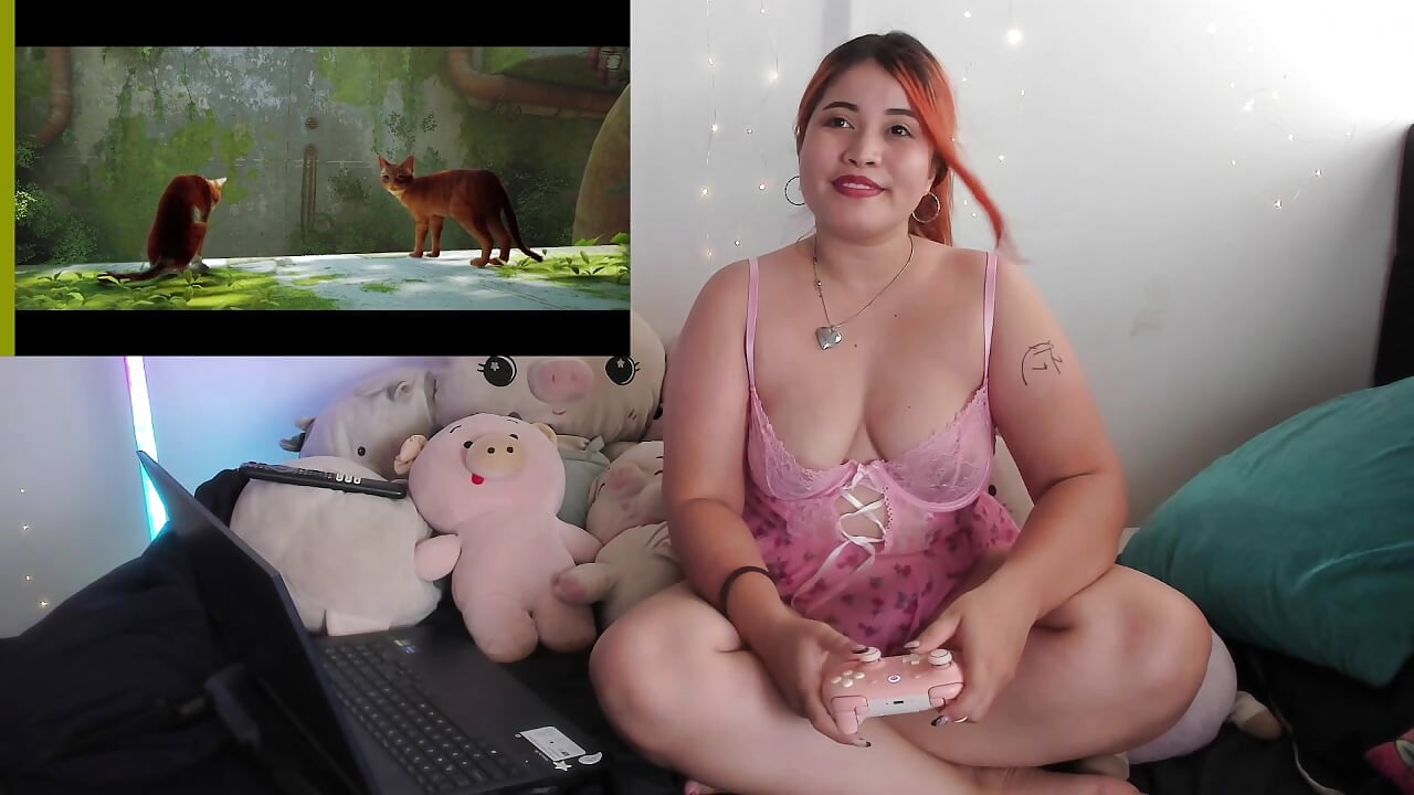 game stray - AdaraJode adlı kamera modelinin videosu