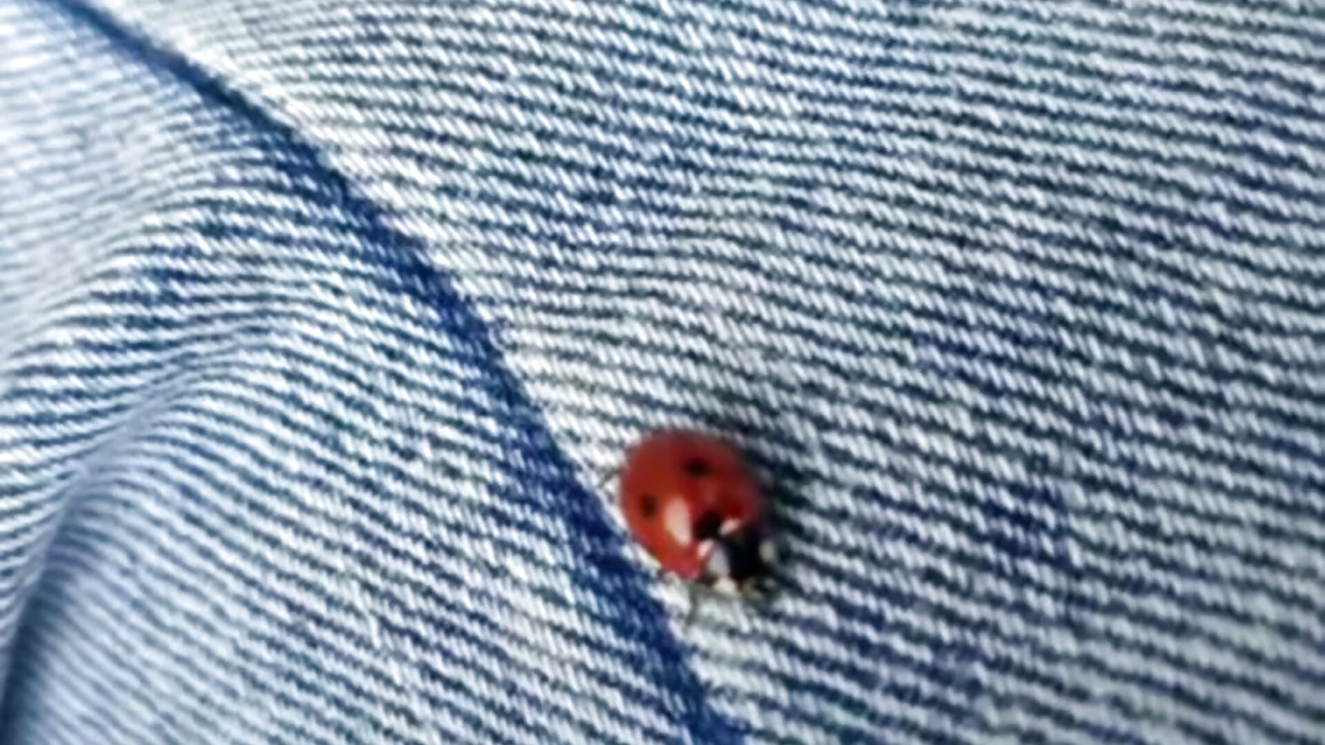 Good morning - video by AliceSmite cam model