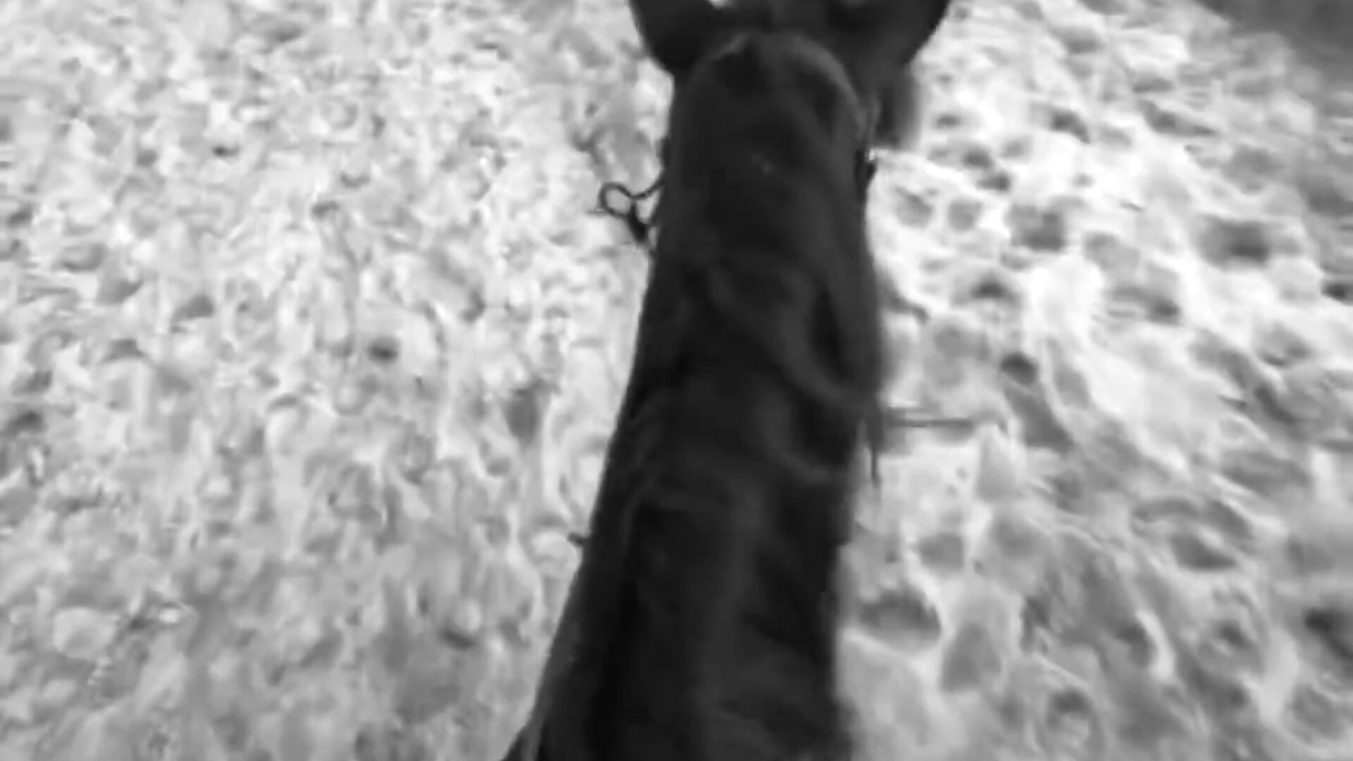 video_2026-03-26_19-45-15 - Video von AliceSmite Cam-Model