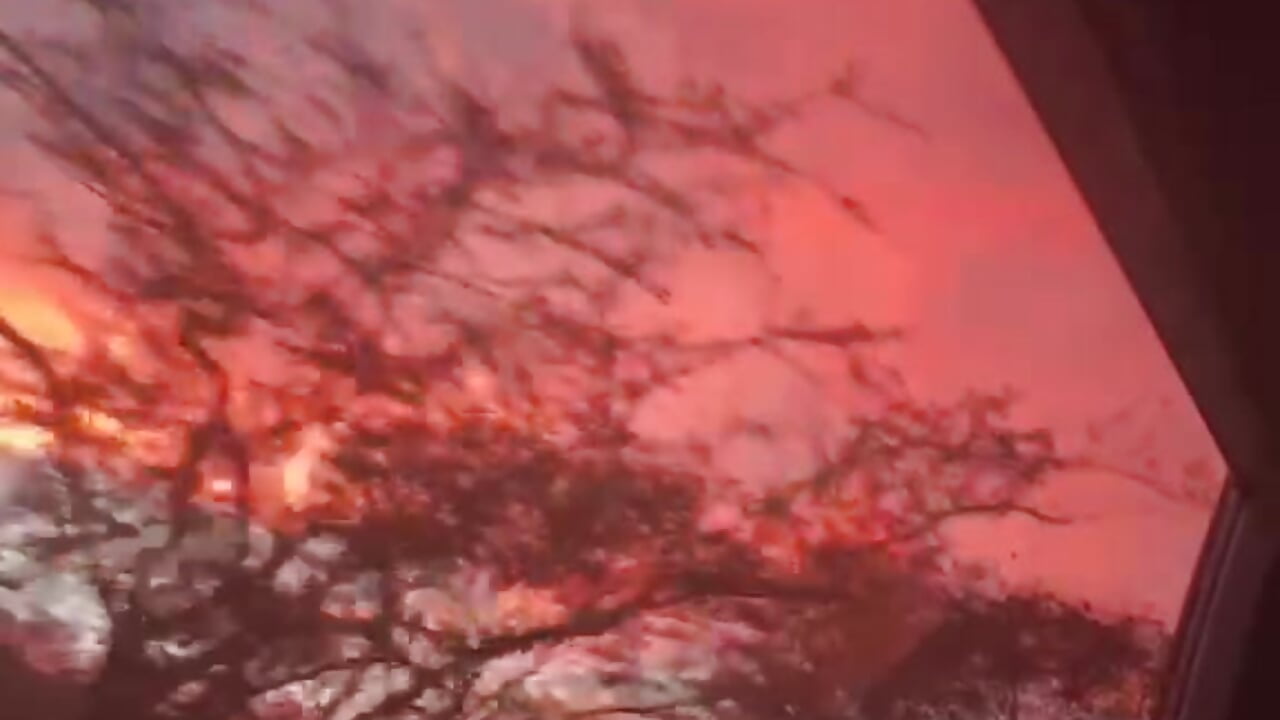 A beautiful sunset, I wish I was with you!💗－カメラキャストのLeandra-Johnsonの動画