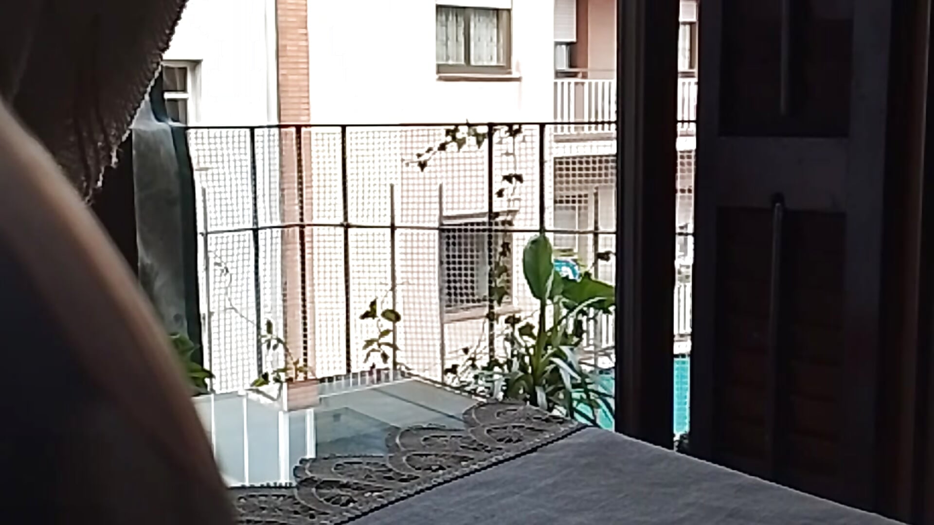 Free al balcón mostrando - clip cu DauntedHumulin model videochat