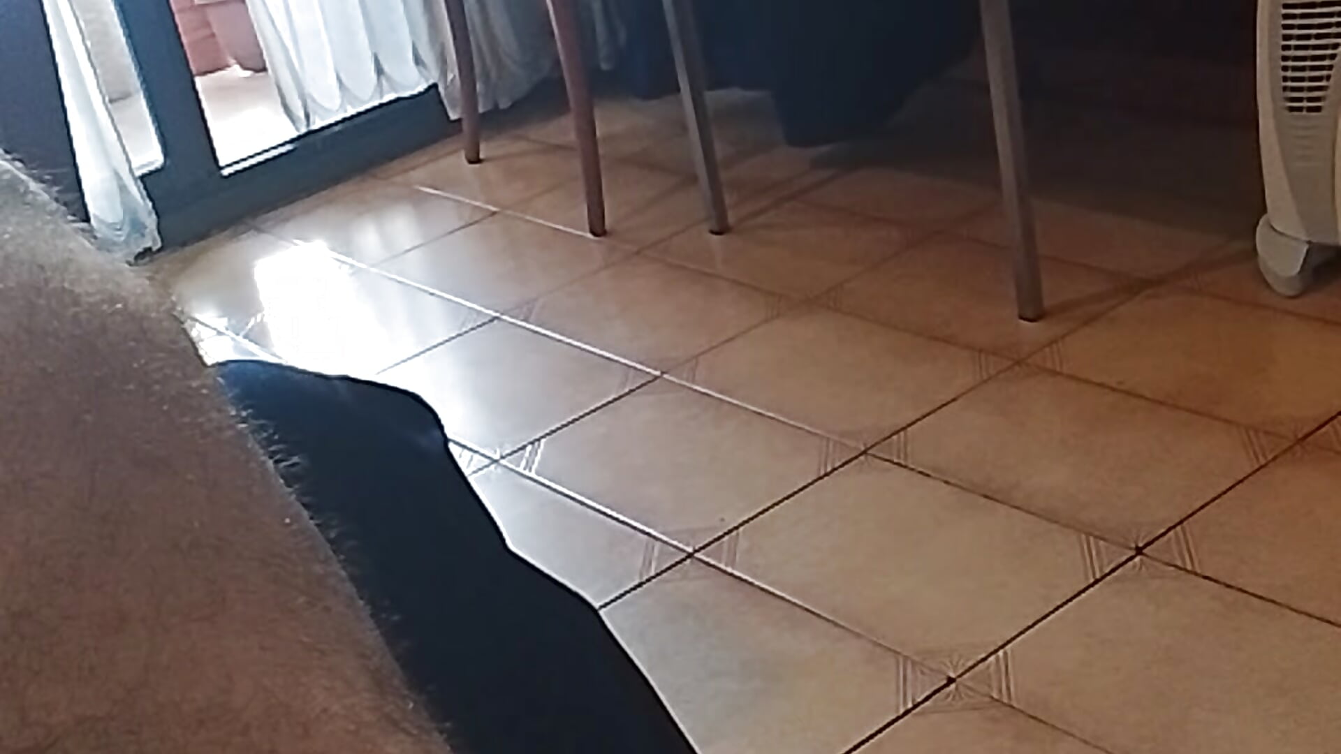 Otro día enfrente de la ventana - video av DauntedHumulin cam-modell