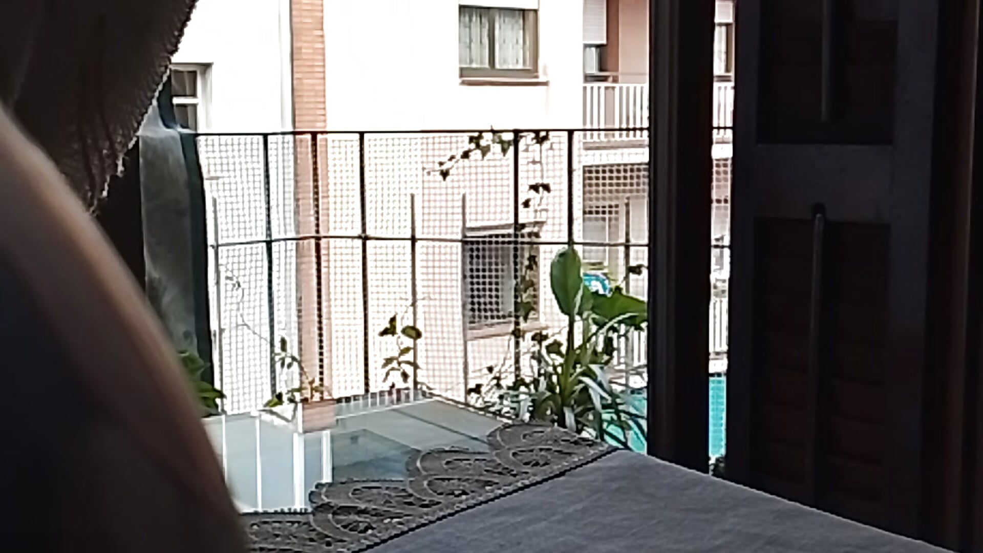 Frente a la vecina - vidéo du modèle de showcams Javito-colinero