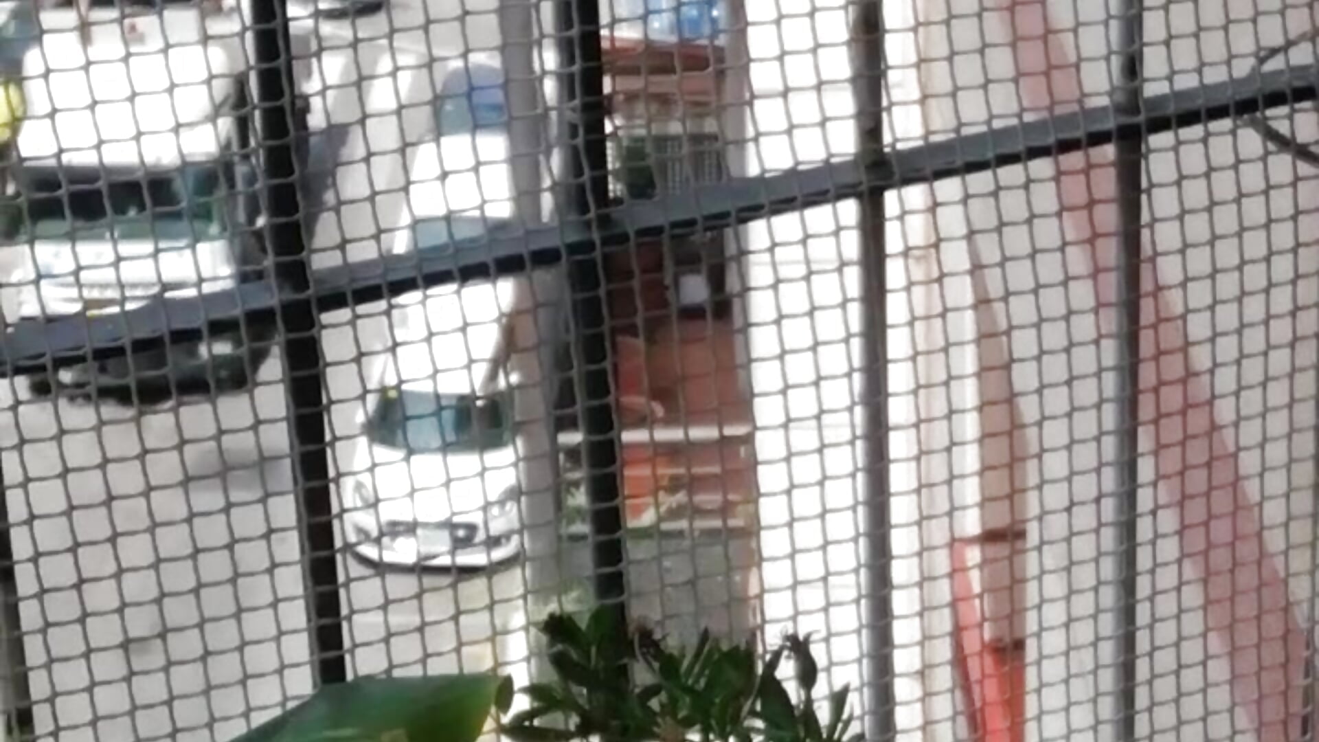 En el balcón, con pantalones transparentde - DauntedHumulin adlı kamera modelinin videosu