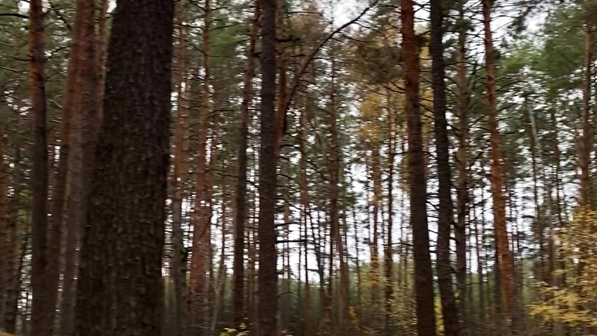 🌲 I love nature - відео від вебкаммоделі SmileNick
