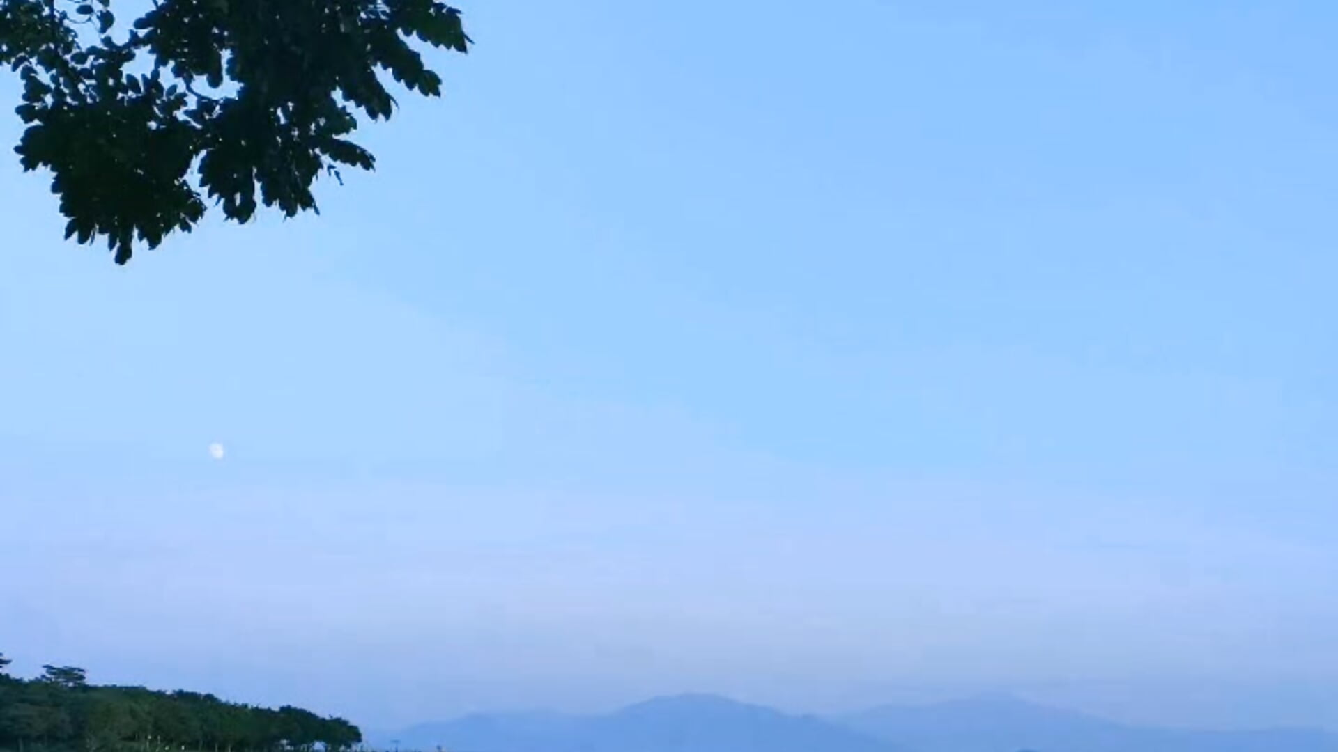 inmyfeeling - jinxiyao01主播的视频