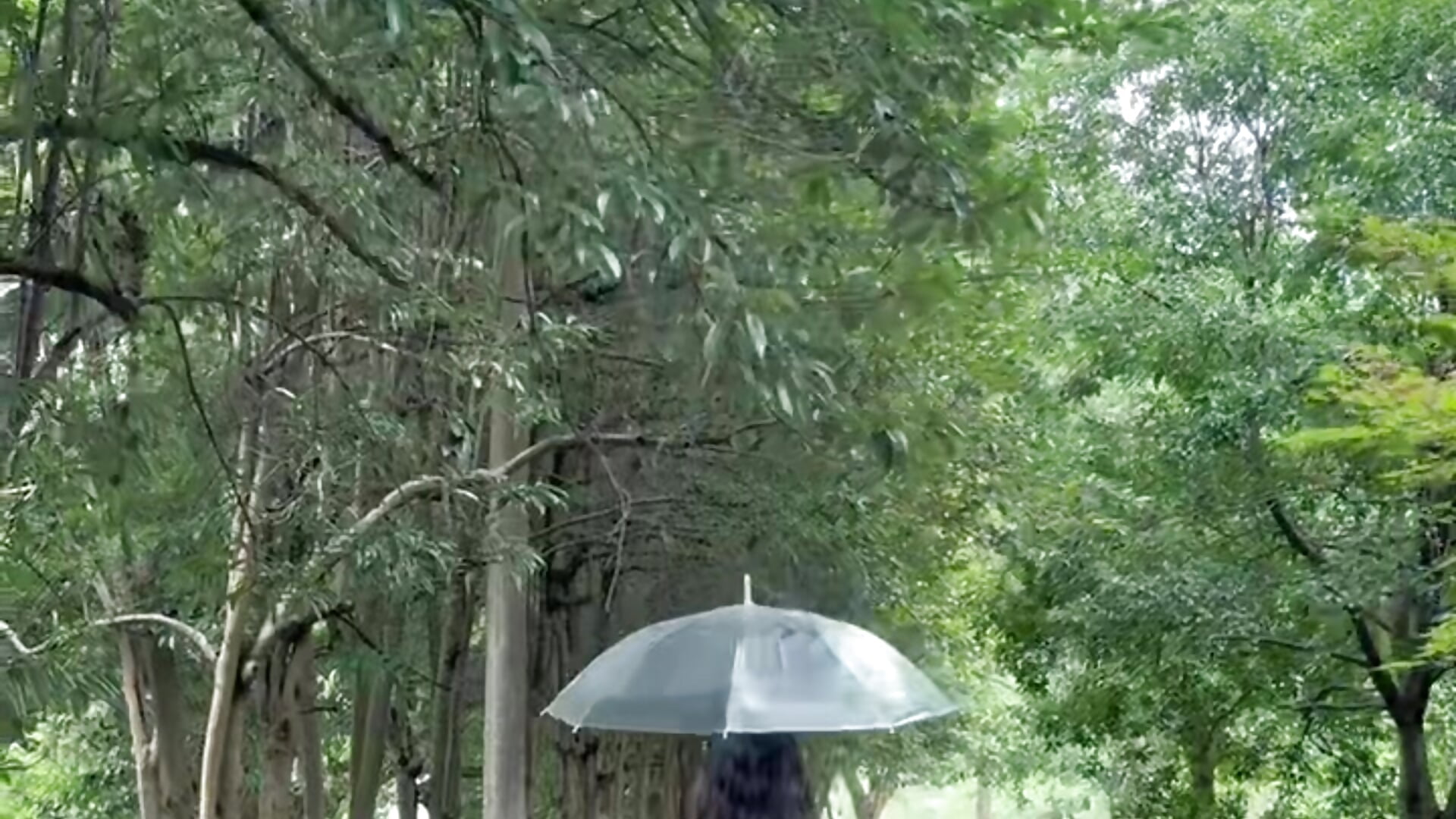 🦩 - 視頻由 ling_12 主播提供