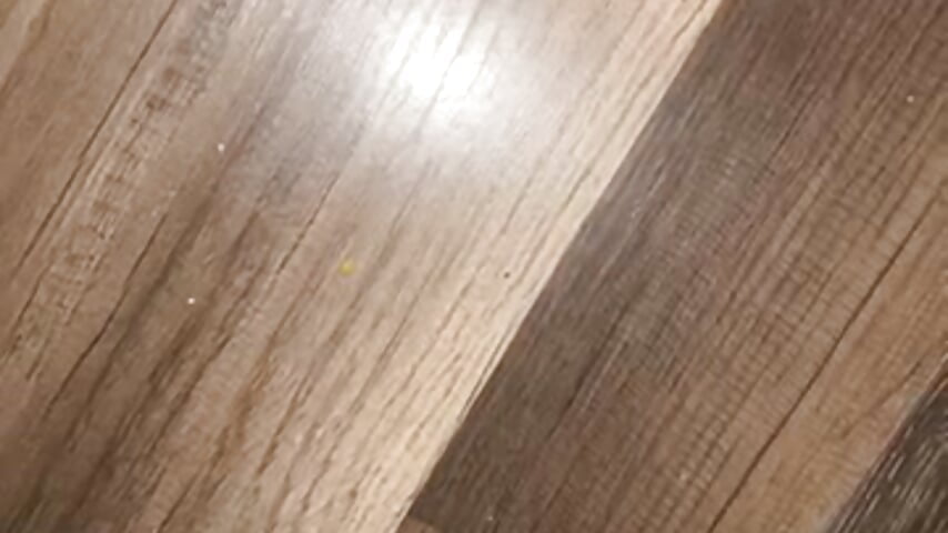 79676874631__F713A0B0-15BD-4F29-B23D-E6DAB8141D31 - vídeo de la modelo de cam Sexadtbbc87