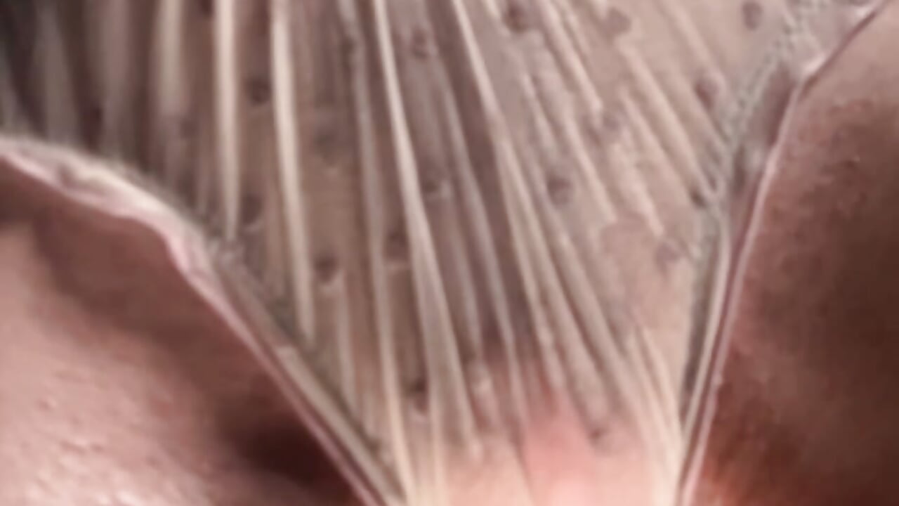 DOMI ON WET CLIT