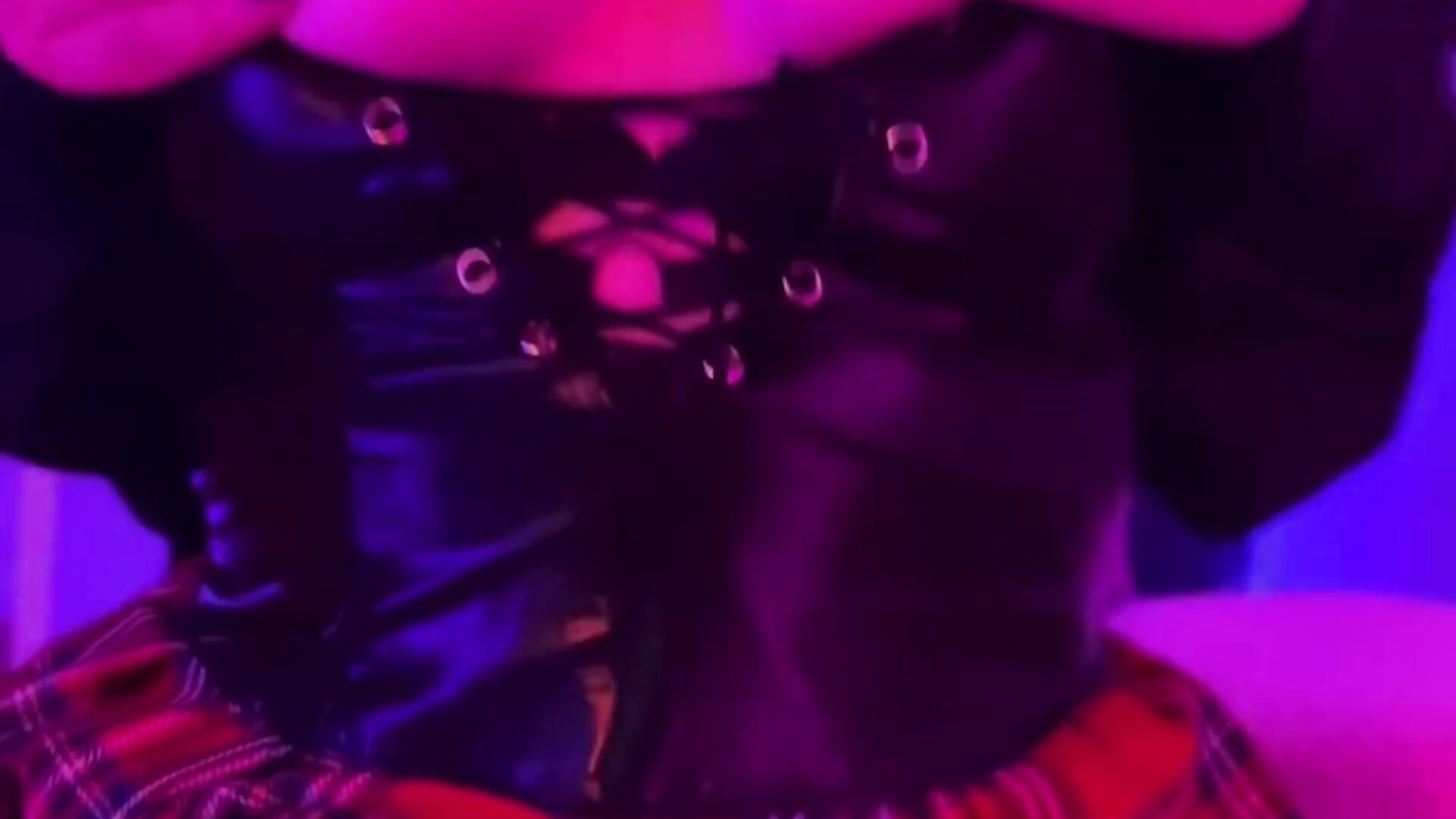 IMG_8360 - video by chill_paws cam model