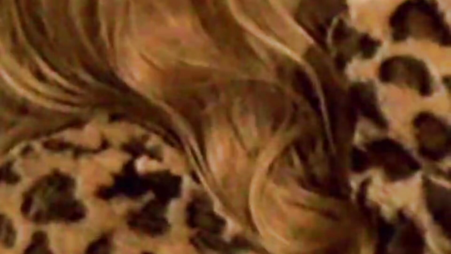 MSI – video od webkamerové modelky EvaforHIM