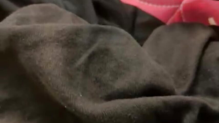 who wanted to take out that undie - Vídeo de BLAKGAYBOI007, modelo de vídeos